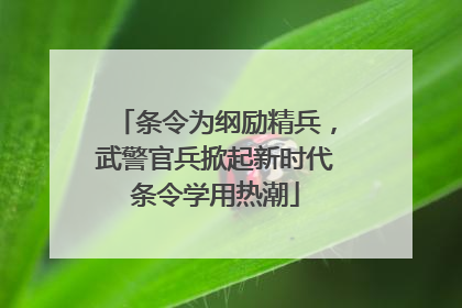 条令为纲励精兵，武警官兵掀起新时代条令学用热潮